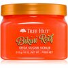 Kehakoorija Tree Hut Bikini Reef, 510 g