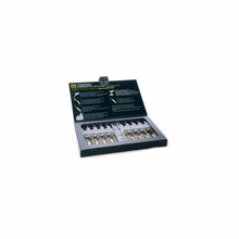 Ampullid Endocare Tensage, 10 x 2 ml
