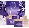 Kingitus Lumene Nordic Ageless Radiant Youth Multi-Peptide Serum 30 ml + Night Cream 50 ml