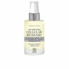 Seerum Alma Secret Cellular Recovery, 50 ml