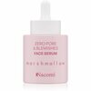 Näoseerum Nacomi Zero Pore & Blemishes Marshmallow, 30 ml