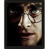 Plakat Harry Potter vs Voldemort, 20 x 25 cm, 3D