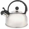 Teekann La Cafetiere, 1.6 L, hõbe