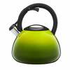 Veekeetja Ambition Ombre, 2.6-3 L, roheline