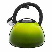 Veekeetja Ambition Ombre, 2.6-3 L, roheline