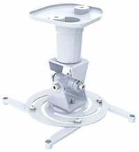 Projektori laekinnitus Techly ICA-PM 100WH, 22 cm, 10 kg, valge