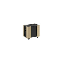 Mobiilne A/V kapp Epson ELPCS01, must