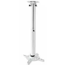 Projektori laekinnitus Techly ICA-PM 104MW, 50-77 cm, 15 kg, valge
