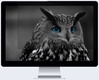 Privaatsusfilter Natec NFP-1478 Owl, 24