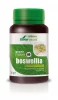 Mgdose Boswelia 1000 mg, 30 tk