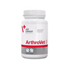 Vetexpert Arthrovet HA, 90 tabletti