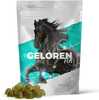 Geloren HA toidulisand hobustele liigestele, 450 g