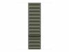 Käevõru Apple Watch 42mm Sage Gray Magnetic Link M/L, MGDE4ZM/A