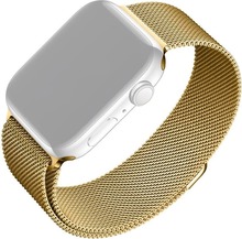 Kellarihm Fixed Mesh Apple Watch 42/44/45/46/49 mm, kuldne, FIXMEST-434-GD