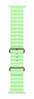 Kellarihm Apple Ocean Band 49mm Neon Green, MGCF4ZM/A, naturaalne titaan