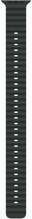 Apple Ocean Band Extension, 49 mm, must, natural titanium