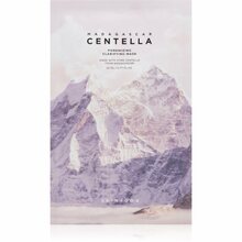 Lehtmask Skin1004 Madagascar Centella Poremizing Clarifying Mask, 23 ml