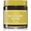 Rahustav näomask koirohu ekstraktiga I'm From Mugwort Mask, 110 g