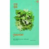 Rahustav näomask koirohu ekstraktiga Holika Holika Pure Essence Mugwort, 23 ml