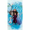 Laste rätik Jerry Fabrics Frozen Blue, 70 x 140 cm
