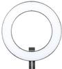 LED ringvalgusti Falcon Eyes Bi-Color DVR-384DVC