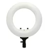 Caruba Round Vlogger 12 inch LED ring lamp White