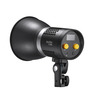 Godox ML30Bi Duo LED Light Kit