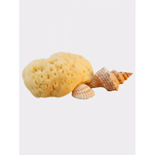 Looduslik käsn beebidele Hydrea London Fina Silk Sea Sponge, 5 cm