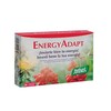 Santiveri EnergyAdapt tabletid, 24 tk