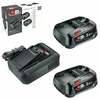 Bosch Starter Set 18V, 2x2.5Ah akud, AL18V-44 laadija, 1600A031T5