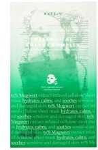 Näomask Axis-Y Mugwort Green Vital Energy Complex, 27 ml
