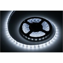 LED riba Rebel 5m (300x5630), külm valge, 12V