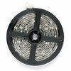 LED riba Avide 12W/m 6400K IP20 5m