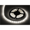 LED riba Rebel 5m (300x5050 SMD), 4000K neutraalne valge, 12V
