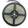 LED riba Avide At-0775, 5 m, 12 W/m, IP65, RGB+W