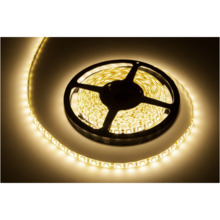 LED riba Rebel 5m, soe valge, 12V