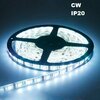 LED riba Spector Light 17501, 5m, 6500K, IP20