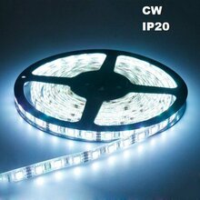 LED riba Spector Light 17501, 5m, 6500K, IP20