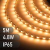 LED riba Spector Light 17502, 5m, soe valge, IP65