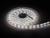 LED riba Blow 2835, külm valge, 5m