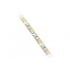LED riba GTV 3528, 600 LED, külm valge, 48W, IP65, 5m
