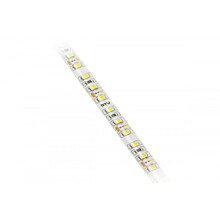 LED riba GTV 3528, 600 LED, külm valge, 48W, IP65, 5m
