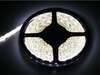 LED riba Blow 5050, külm valge, 5m