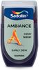 Värvitester Sadolin Ambiance Early Dew, 30 ml, täismatt