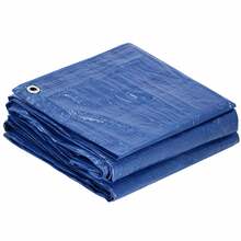 Koormakate Springos GA2123, 2 x 3 m, 60g/m2, sinine