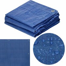 Present Springos GA2177, 10 x 8 m, 60g/m2