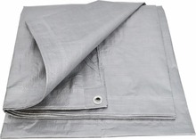 Tent AWTOOLS SILVER PLANE, 10 x 15 m, 120g/m2, hõbedane