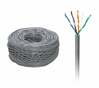 Võrgukaabel Cabletech, UTP Cat5e, 1 m