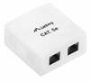 Pinnapealne pistikupesa Lanberg OU5-0002-W, UTP Data Box, 2x RJ45, Cat5e, valge