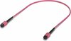 Optiline kaabel Ubiquiti UACC-OFC-MA-MPMP-0.5M-10, Indoor OM4 multi-mode fiber, 0.5 m, roosa